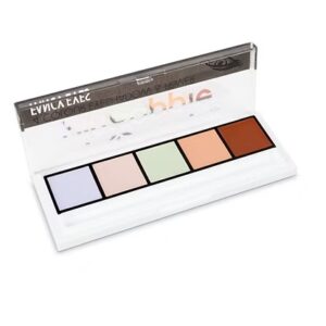 5 in 1 contour pallet concealer